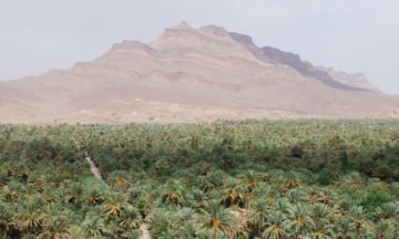 agdez-draa-valley