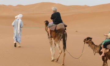 camel-trek-chegaga