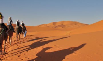 camel-trek-erg-chbbi
