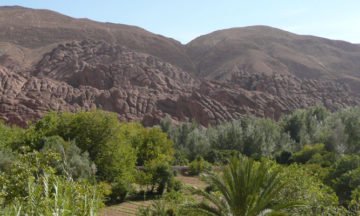 dades-monky-fingers