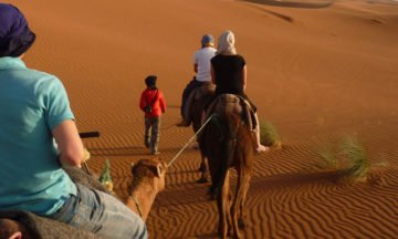 marrakech-zagora
