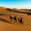 4 days Desert trek
