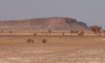 mountain-fossils