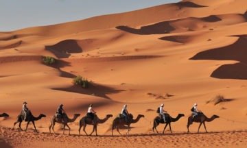 sahara desert trek