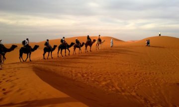 desert-trekking-sahara