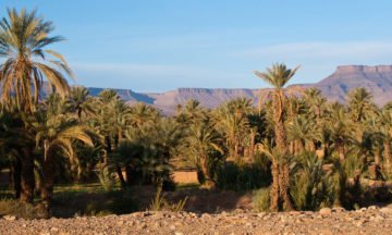 morocco-ouasis